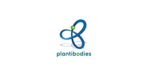 Plantibodies